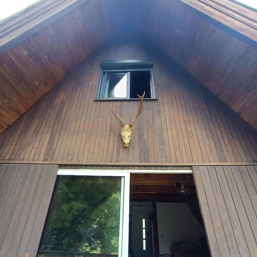 Chalet- Vallee De Luchon - Vallee De La Pique Cierp エクステリア 写真