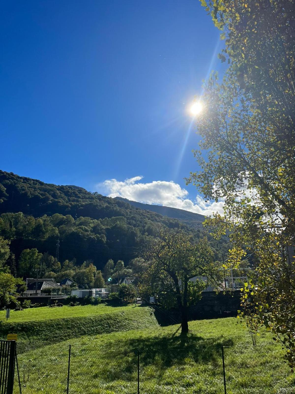 Chalet- Vallee De Luchon - Vallee De La Pique Cierp エクステリア 写真